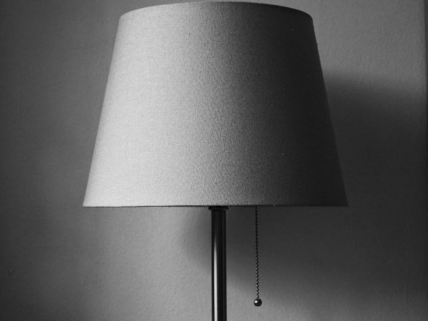 Photo floor lamp
